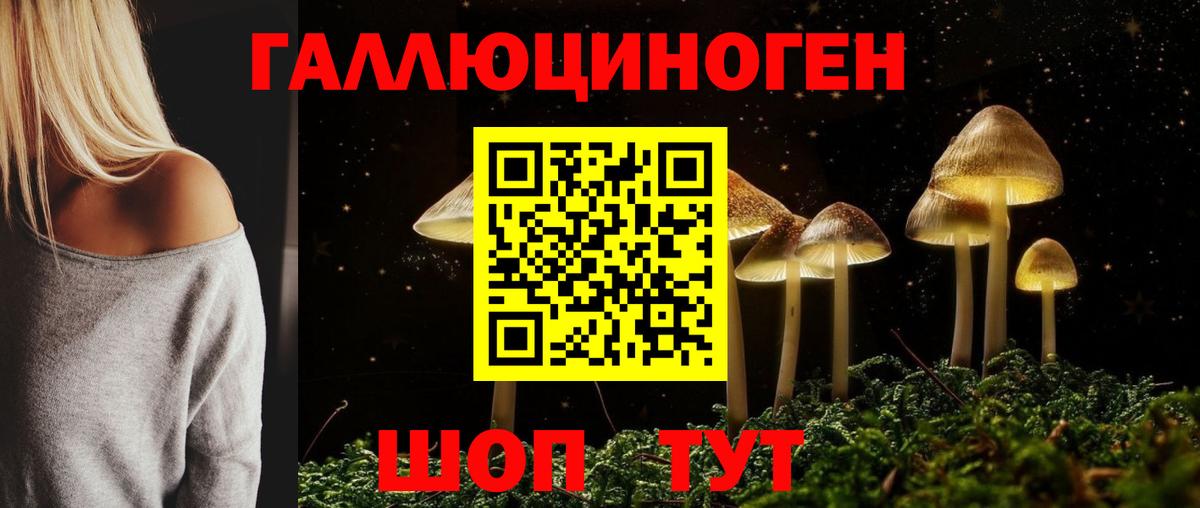 Канаш  Галлюциногенные грибы GOLDEN TEACHER  Вход с VPN 