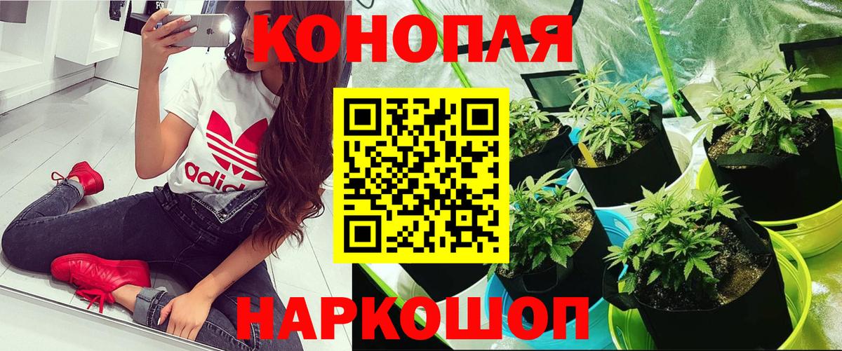Канабис SATIVA & INDICA Канаш